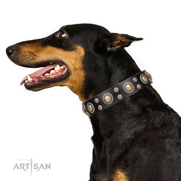 Doberman adjustable full grain genuine leather dog collar for walking