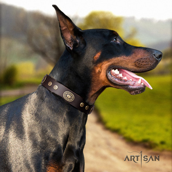 Doberman awesome natural genuine leather collar with adornments for your canine