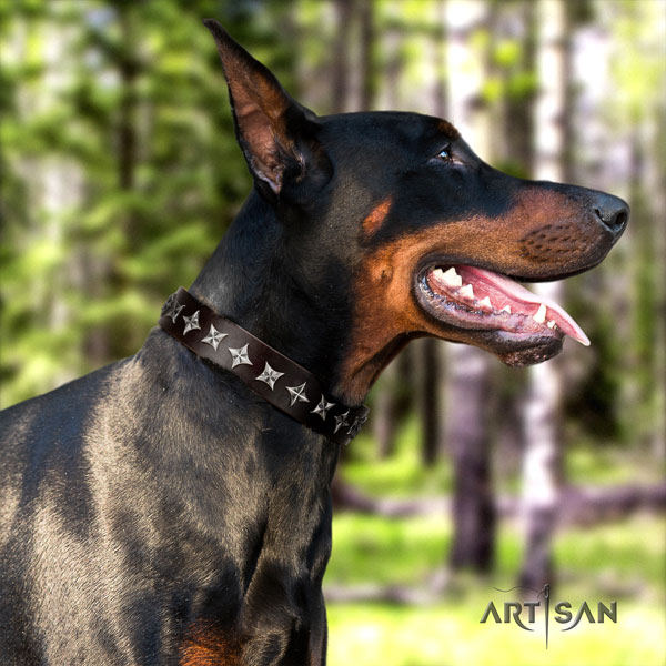 Doberman impressive full grain leather collar with decorations for your four-legged friend