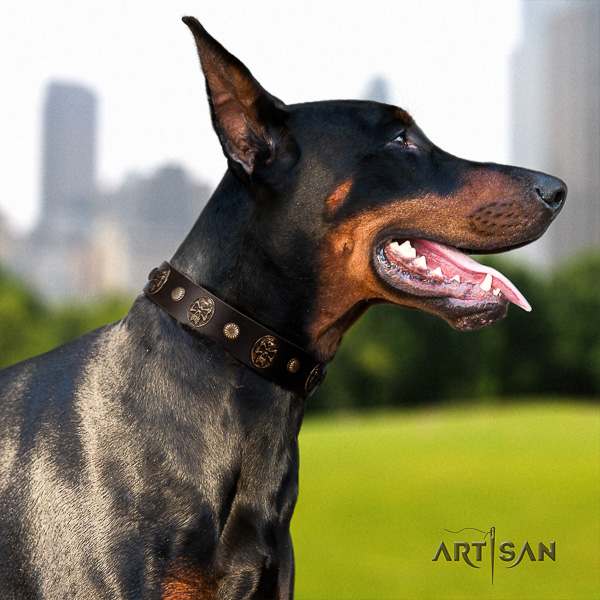 Doberman walking leather dog collar with adornments