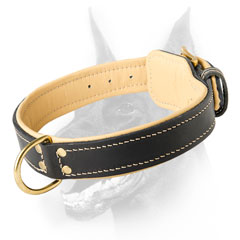 Handmade leather dog collar for Dobermans