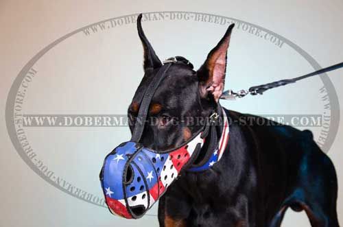 Exclusive Leather Dog Collar for Stylish Dobermans