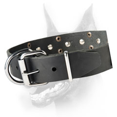 Branded canine collar
