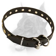 Everyday leather dog collar with decoration
