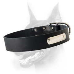 Handmade leather dog collar for Doberman's easy identification