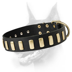 Ornamented leather dog collar