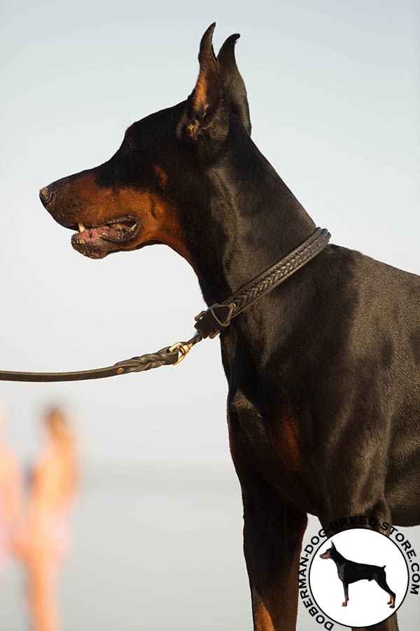 Doberman black leather collar with duly riveted hardware for quality control