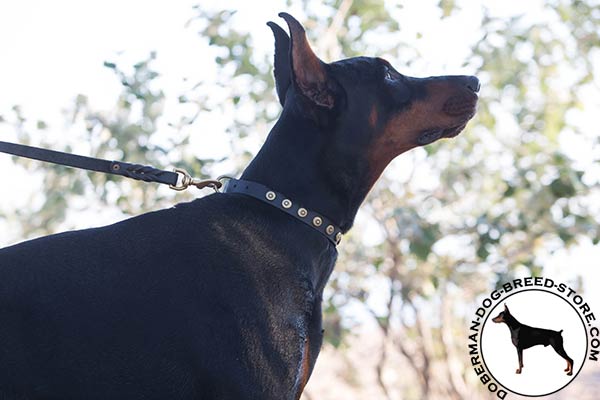 Doberman black leather collar with rustless studs for quality control