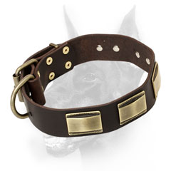 Doberman Dog Collar with exclusive Brass Hardware