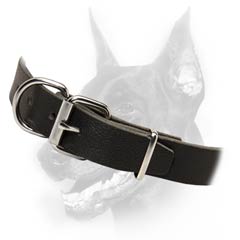 Superior leather dog collar