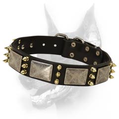Durable leather dog collar