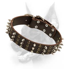 Spiked and studded leather dog collar