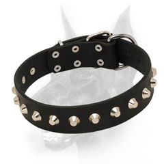 Dog Collar with Extra strong steel buckle