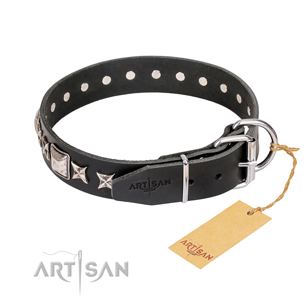 Stylish walking full grain leather collar with studs for your canine