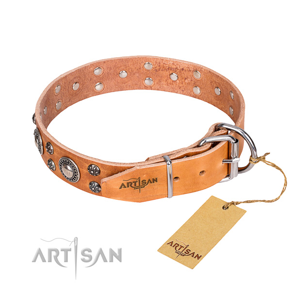 Everyday walking full grain genuine leather collar with decorations for your doggie