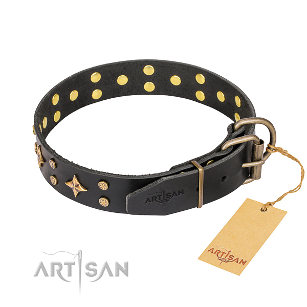 Everyday use leather collar with decorations for your four-legged friend