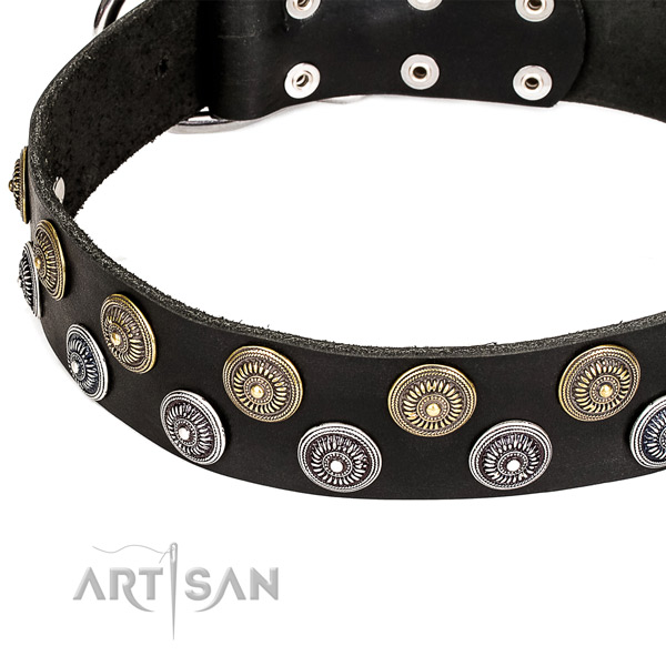 Natural genuine leather dog collar with stunning studs