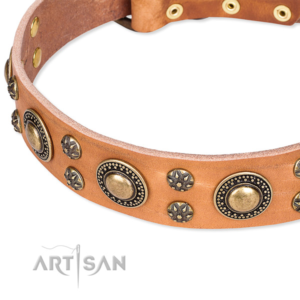Leather dog collar with inimitable decorations