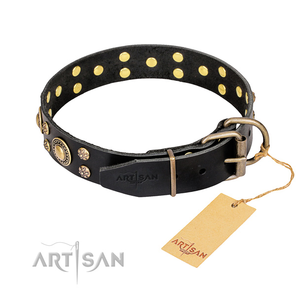 Daily walking leather collar with embellishments for your four-legged friend