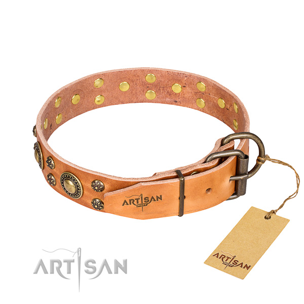 Everyday walking full grain leather collar with embellishments for your doggie