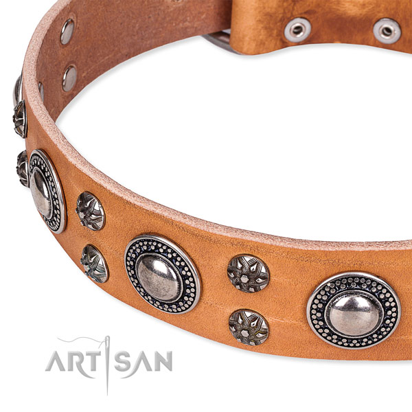 Daily use full grain natural leather collar with rust-proof buckle and D-ring