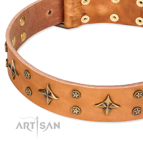 Full grain genuine leather dog collar with remarkable embellishments