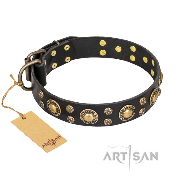 Extraordinary full grain leather dog collar for everyday use
