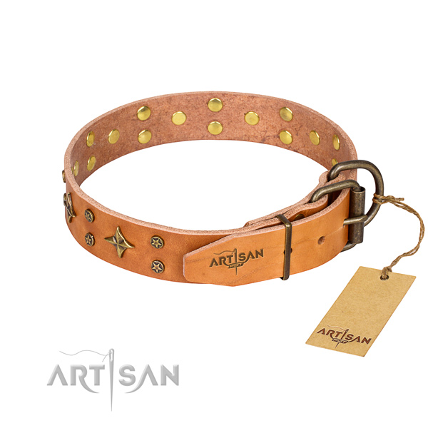 Daily walking natural genuine leather collar with embellishments for your dog