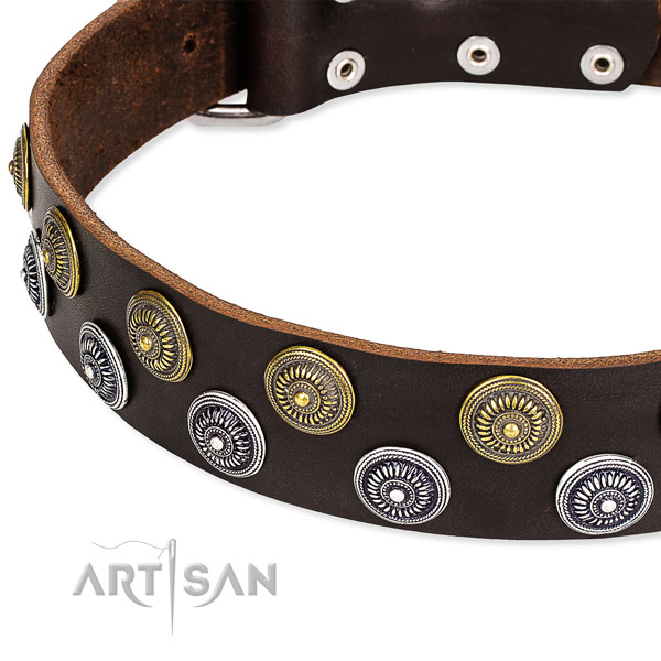 Genuine leather dog collar with unusual decorations