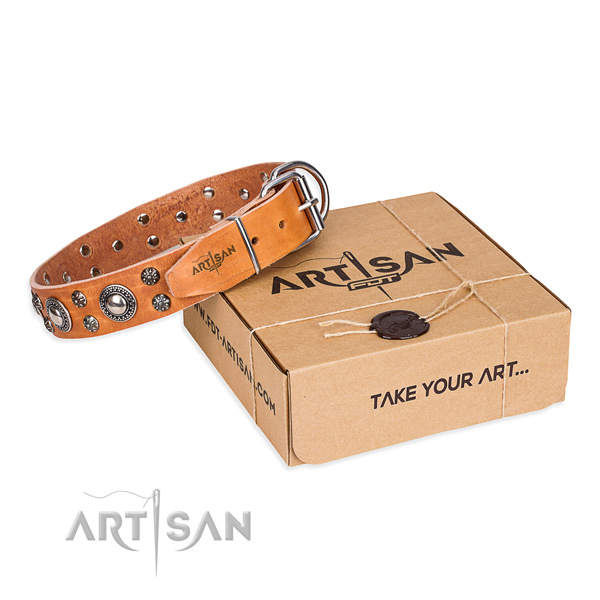 Incredible full grain leather dog collar for daily use