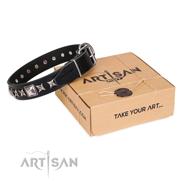 Adorned full grain natural leather dog collar for stylish walking