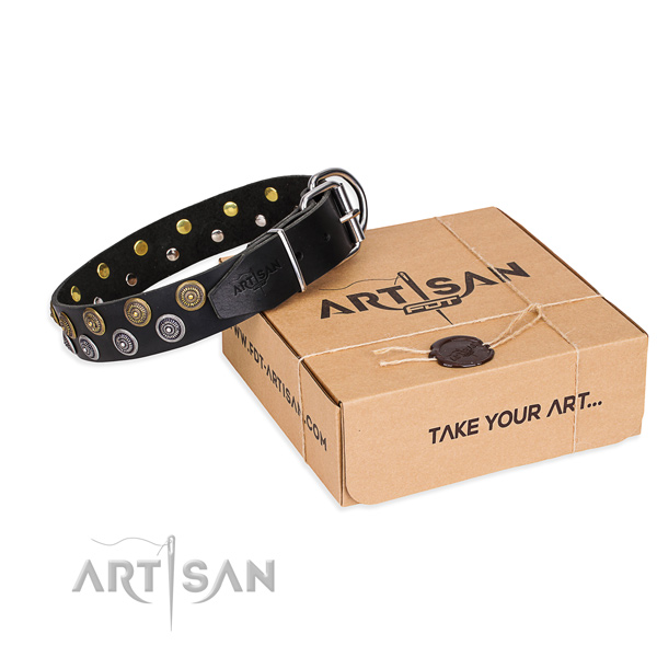 Full grain natural leather dog collar with adornments for daily walking