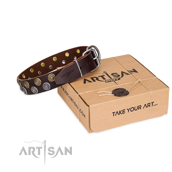 Full grain leather dog collar with embellishments for stylish walking
