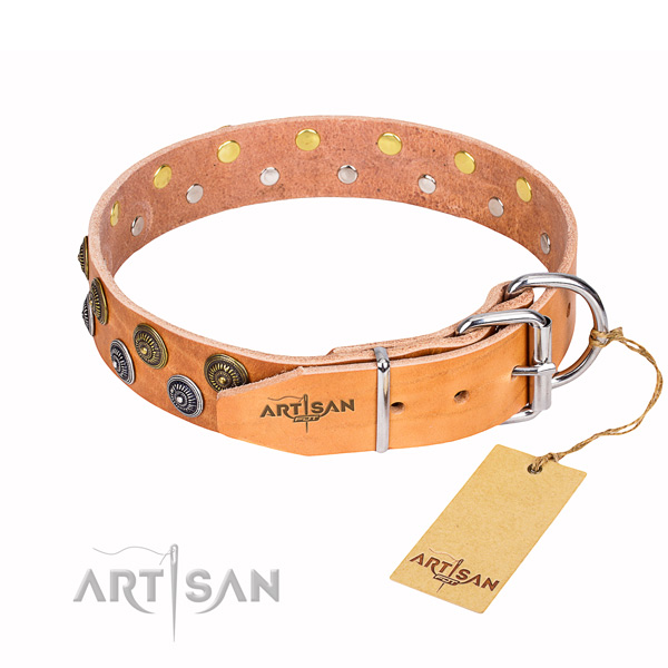 Unusual genuine leather dog collar for everyday walking