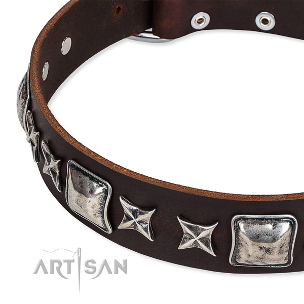 Full grain genuine leather dog collar with embellishments for daily walking
