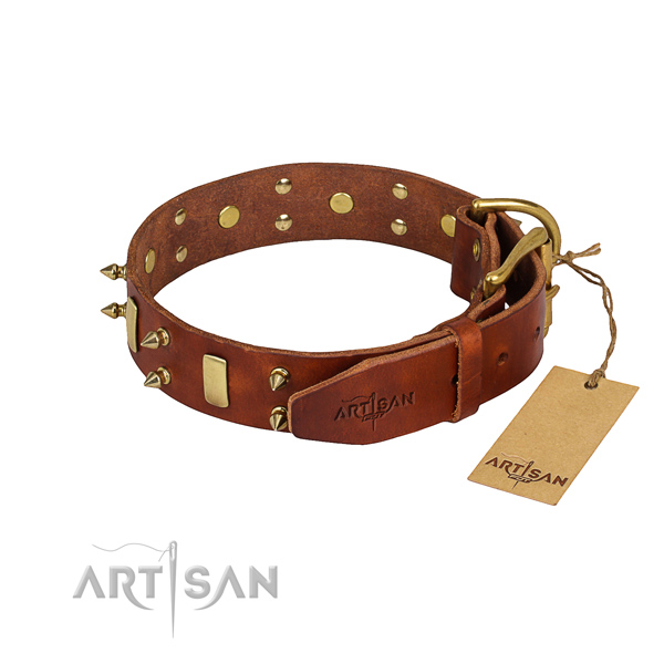 Strong leather dog collar with riveted fittings
