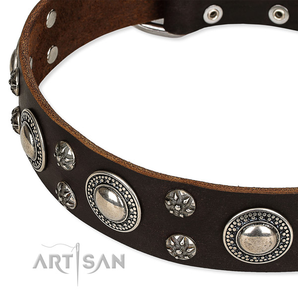 Easy to put on/off leather dog collar with extra sturdy durable buckle and D-ring