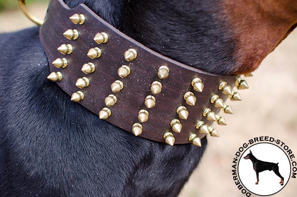 Brass spikes installed into leather Doberman collar