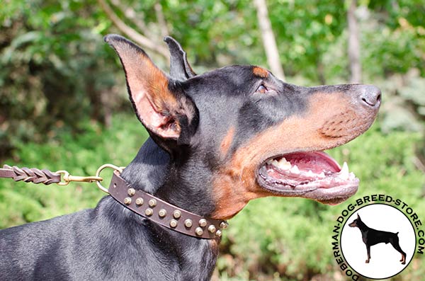 Functional authentic leather collar for Doberman