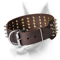   Stylish spiked Doberman Collar with nickel plated hardware