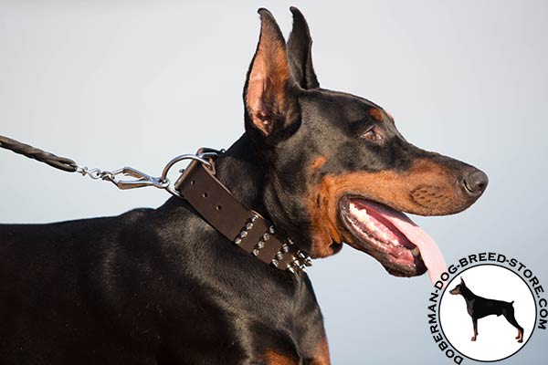 Full grain leather Doberman collar with traditional buckle