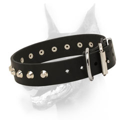 1 1/4 inch wide Dog Collar with Decorative Studs
