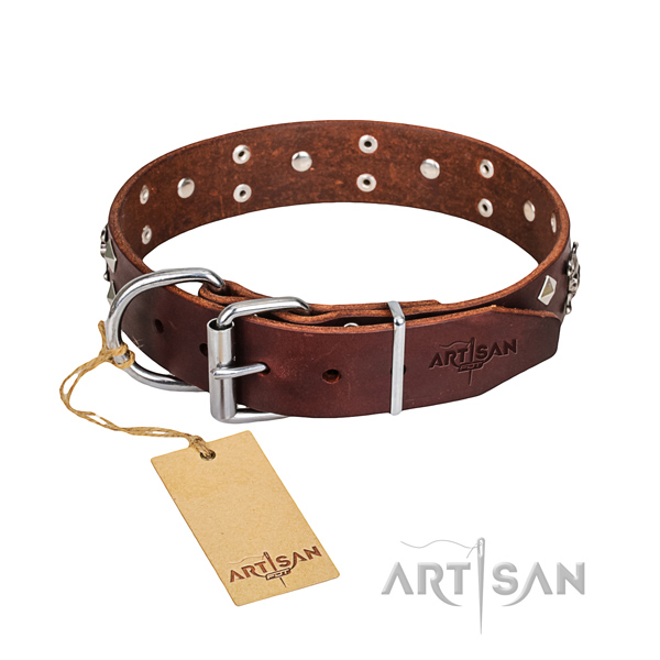 Heavy-duty leather dog collar with brass plated hardware