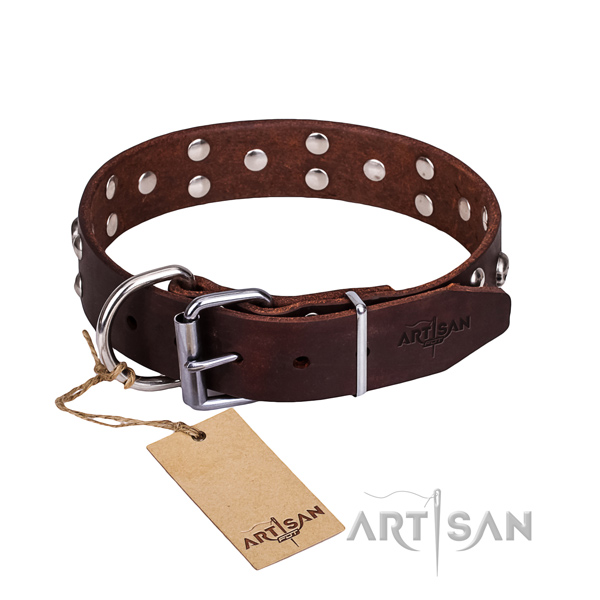 Dependable leather dog collar with durable details