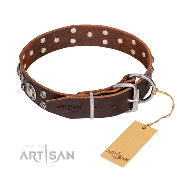 Stylish leather collar for your gorgeous canine