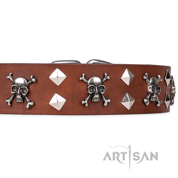 Casual style leather dog collar with refined embellishments