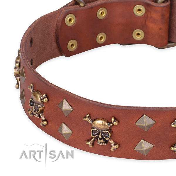 Everyday leather dog collar with luxurious adornments