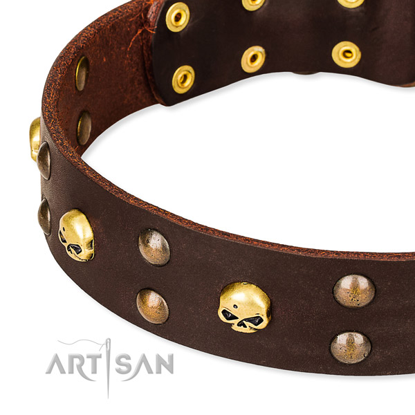 Leather dog collar with rounded edges for pleasant daily wearing