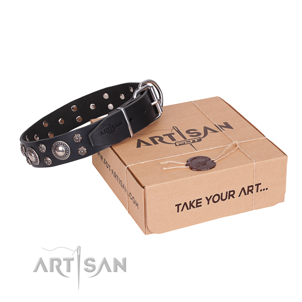Everyday leather dog collar with extraordinary embellishments