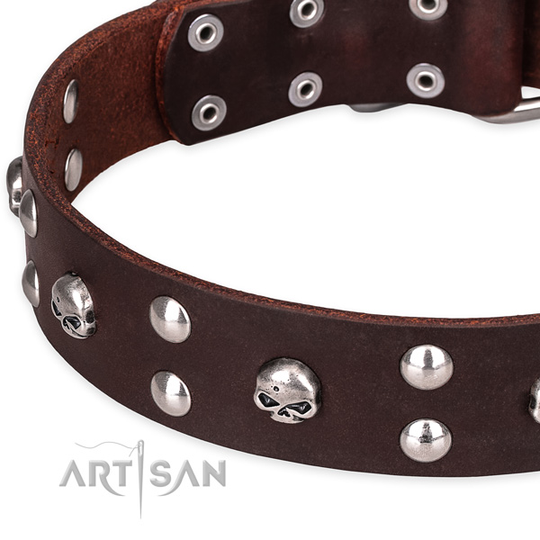 Day-to-day leather dog collar with fancy decorations
